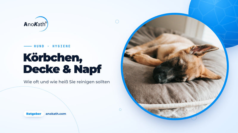 Junger Schäferhund schläft auf einem grauen Hundebett, Titelbild zum Ratgeber Hundekorb reinigen