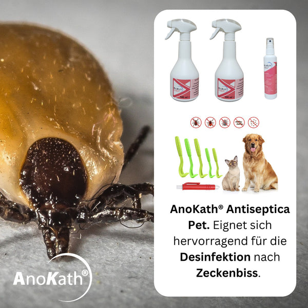 AnoKath® Kit anti-tiques