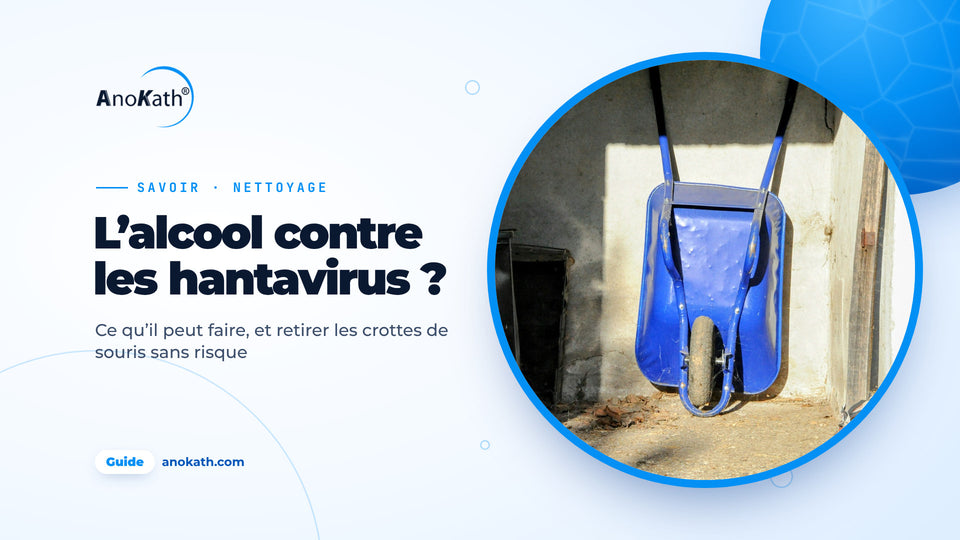 Brouette bleue contre le mur d’une remise claire, image de couverture du guide sur l’alcool contre le hantavirus