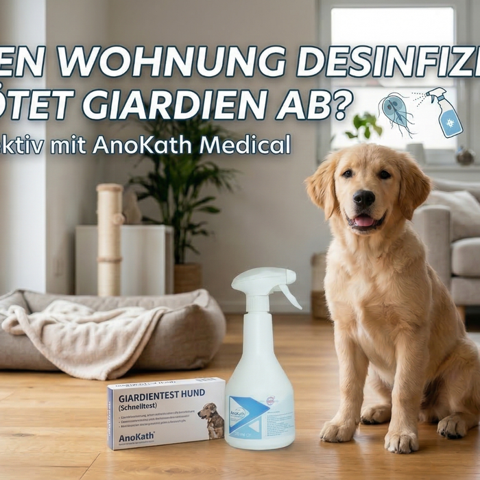 Giardien Wohnung desinfizieren: Was tötet Giardien ab?