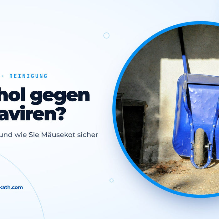Blaue Schubkarre an der Wand eines hellen Schuppens, Titelbild zum Ratgeber Alkohol gegen Hantavirus