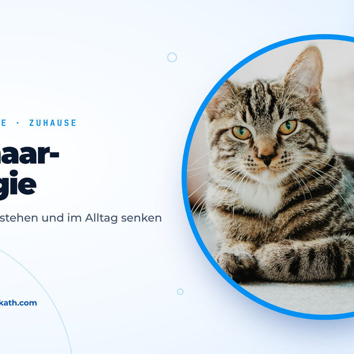 Getigerte Katze auf einem hellen Sofa, Titelbild zum Ratgeber Tierhaarallergie