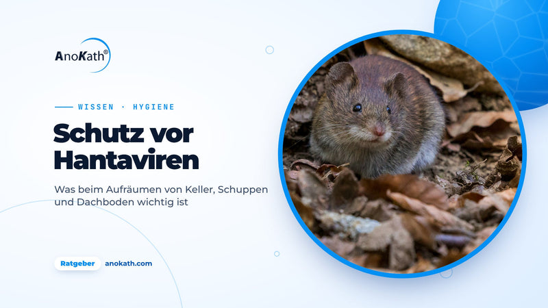 Kleine braune Maus im Herbstlaub, Titelbild zum Ratgeber Schutz vor Hantaviren
