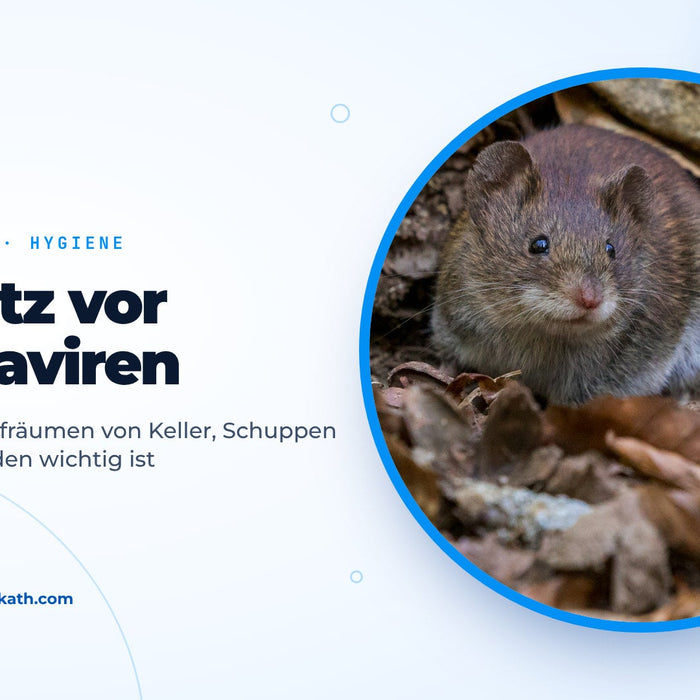 Kleine braune Maus im Herbstlaub, Titelbild zum Ratgeber Schutz vor Hantaviren