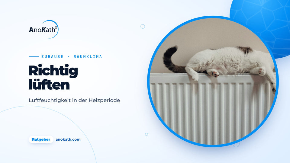 Katze schläft ausgestreckt auf einem weißen Heizkörper, Titelbild zum Ratgeber Luftfeuchtigkeit in der Wohnung