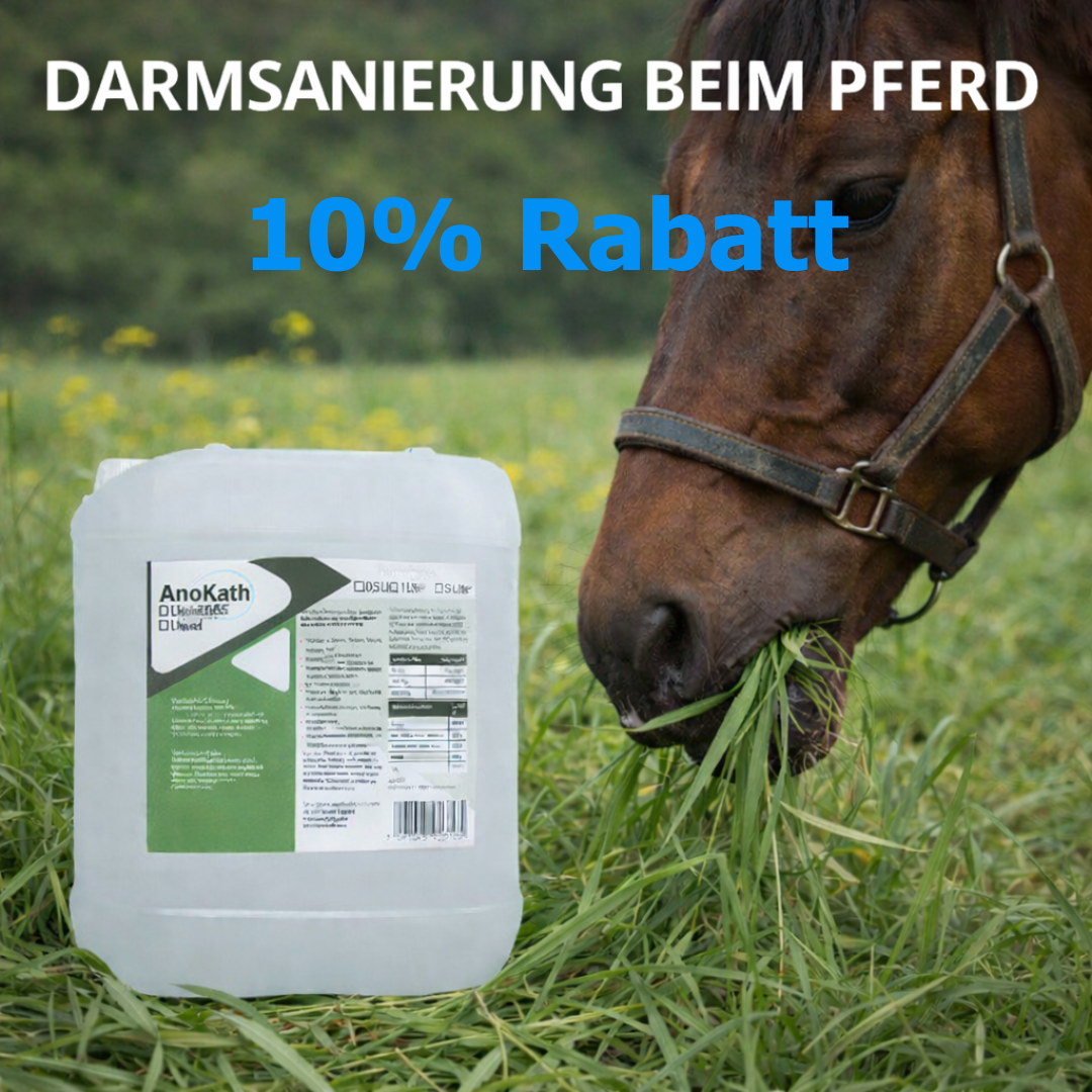 10% Rabatt Darmsanierung beim Pferd