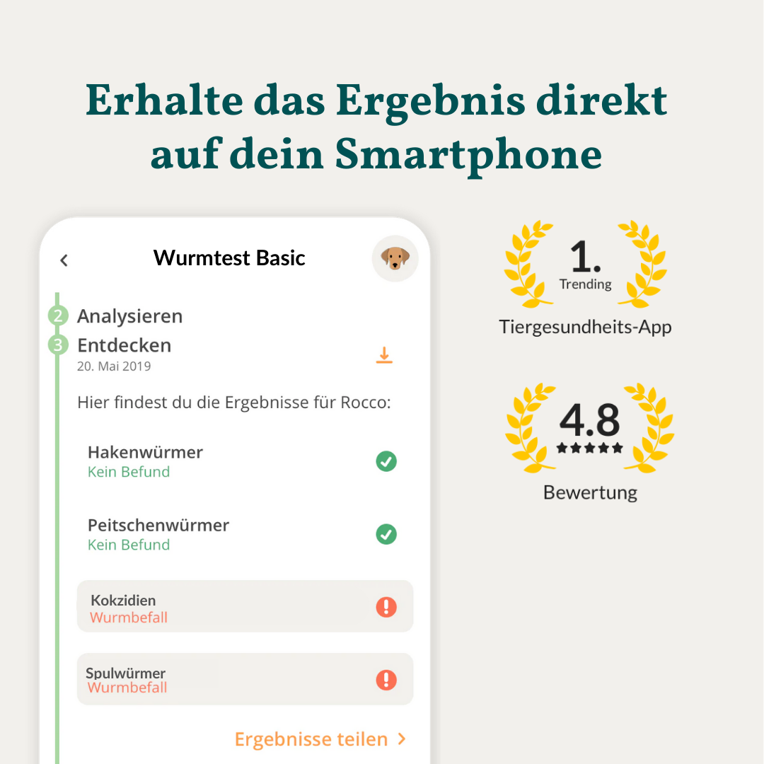 Wurmtest Basic Chien