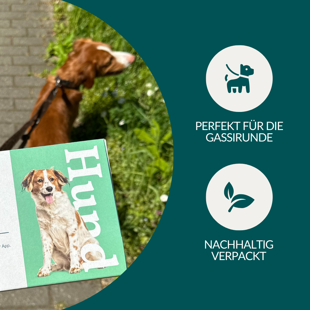 Test de vers Plus Chien
