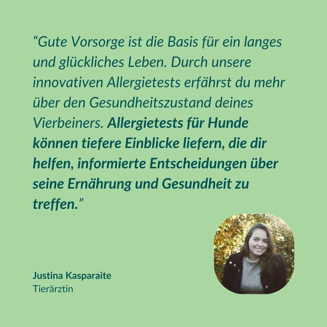 Allergietest Plus Hund