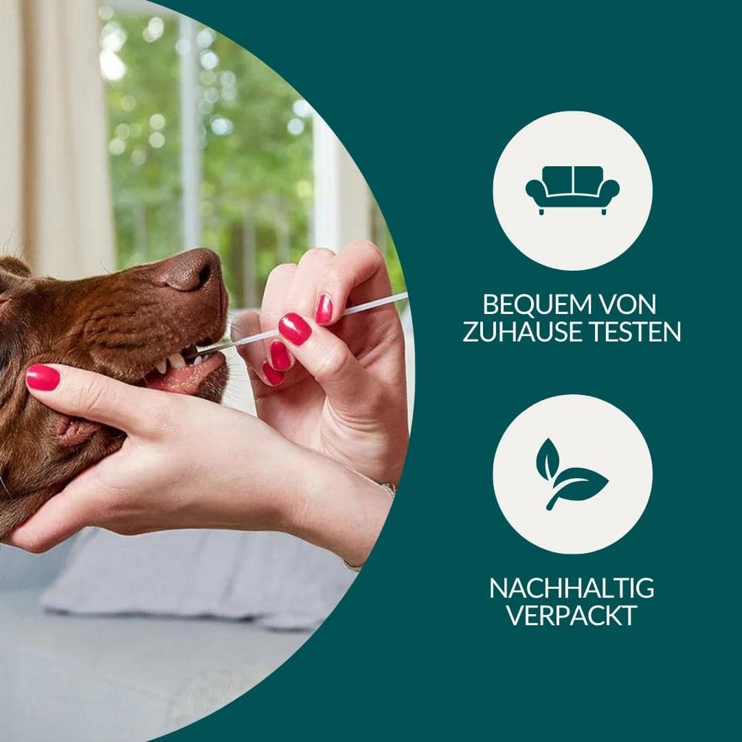 Allergietest Plus Hund