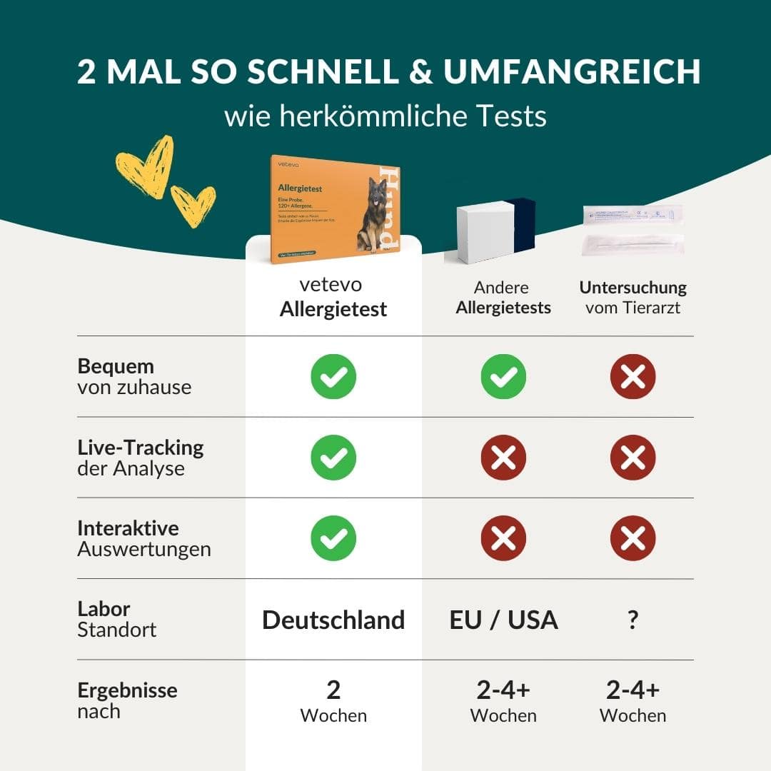 Mikronährstofftest - Mängel Hund