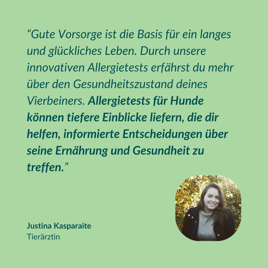 Test de protéines pour chiens : 80 intolérances à la viande et au poisson