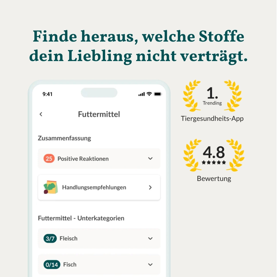 Test de protéines pour chiens : 80 intolérances à la viande et au poisson