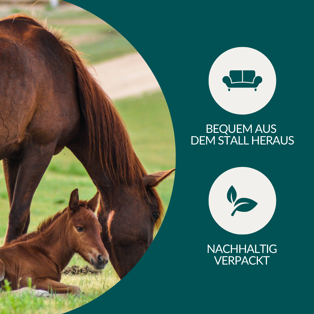 Allergietest Pro Pferd