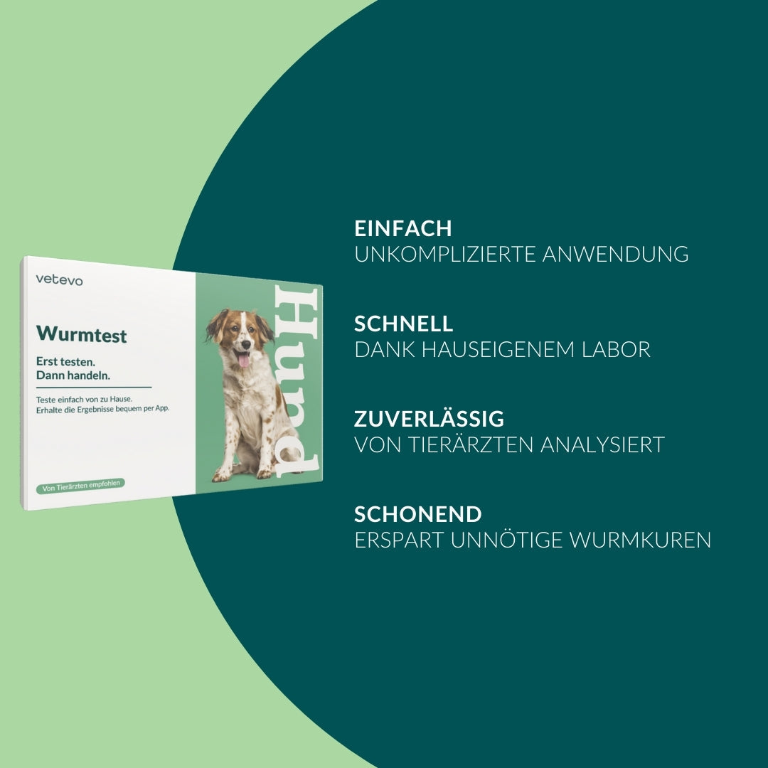 Wurmtest Basic Chien