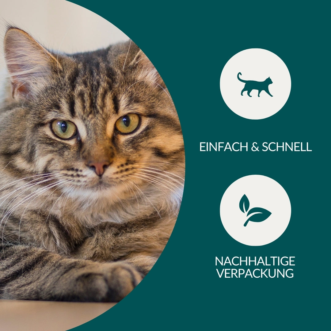 Kit de Vermifugation Essentiel pour Chat (Économique)