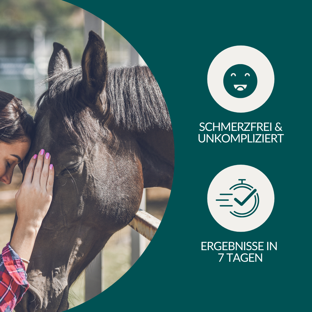 Allergietest Pro Pferd