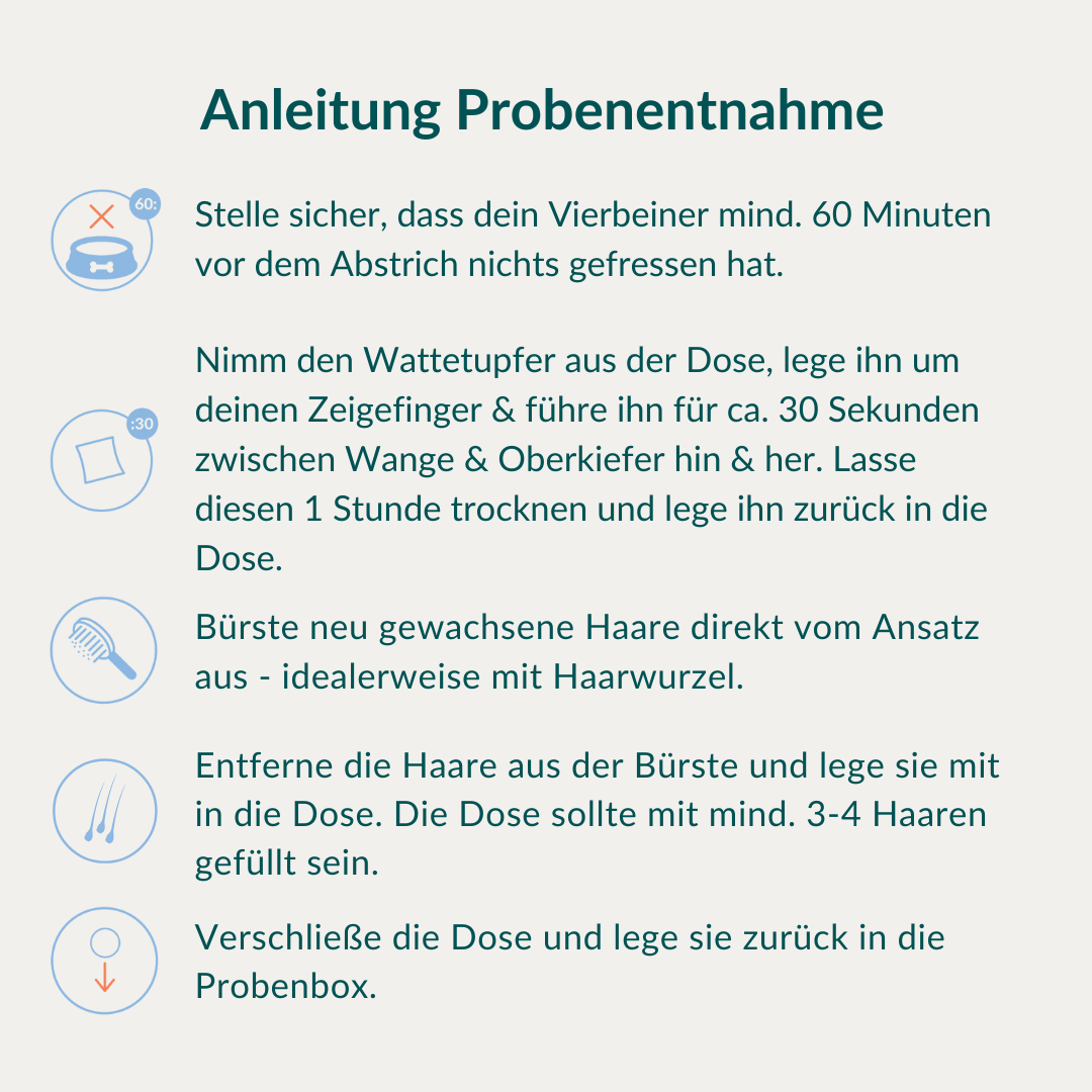 Allergietest Basic Pferd