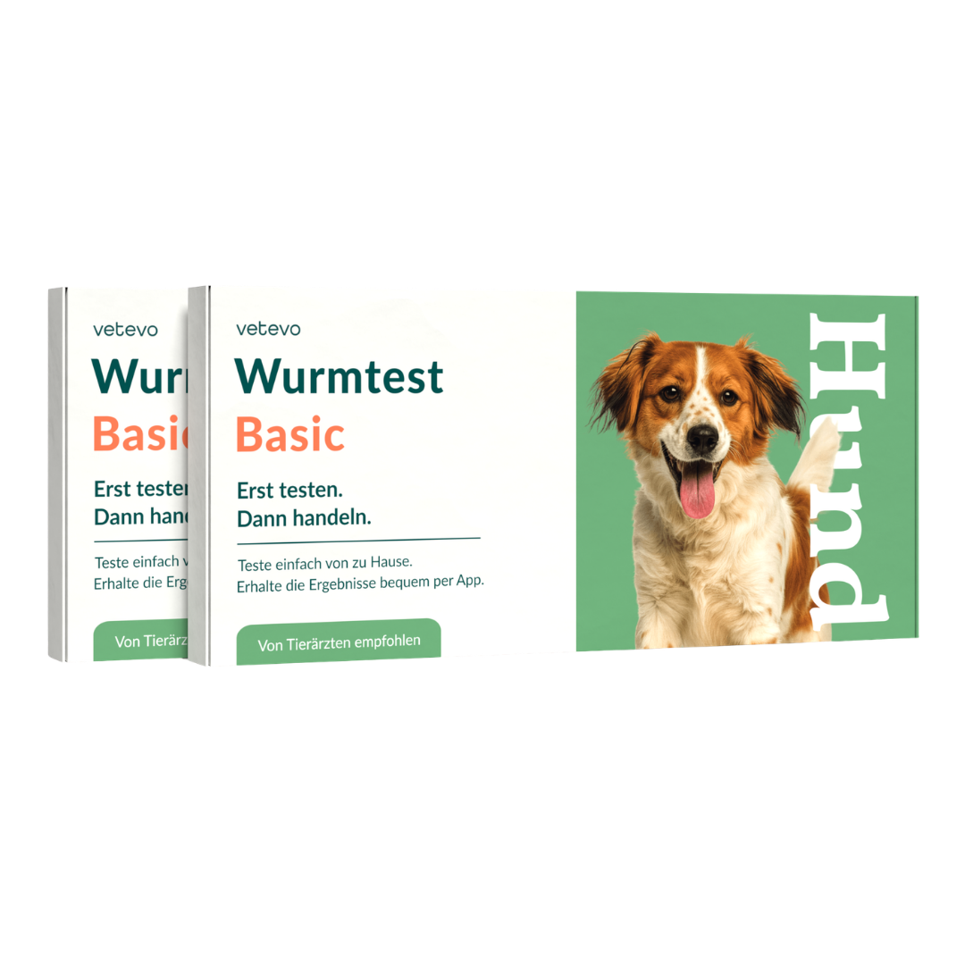 Wurmtest Basic Chien