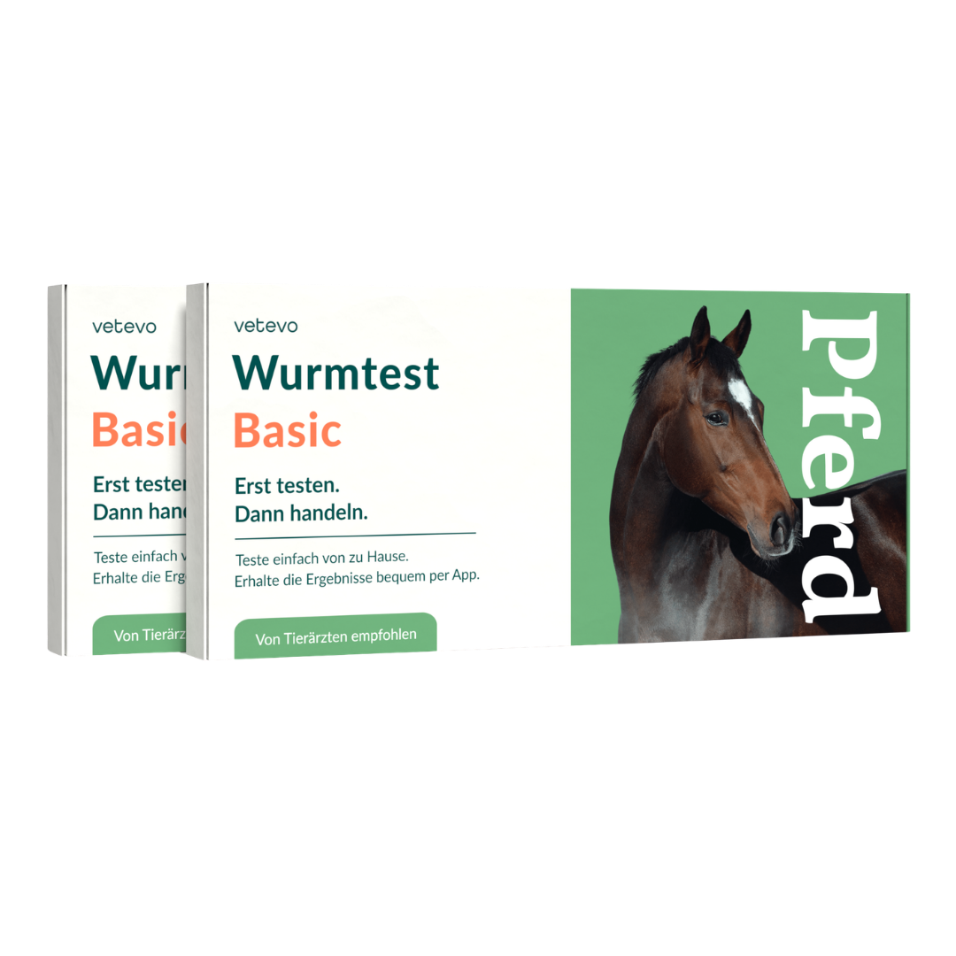 Wurmtest Basic Pferd