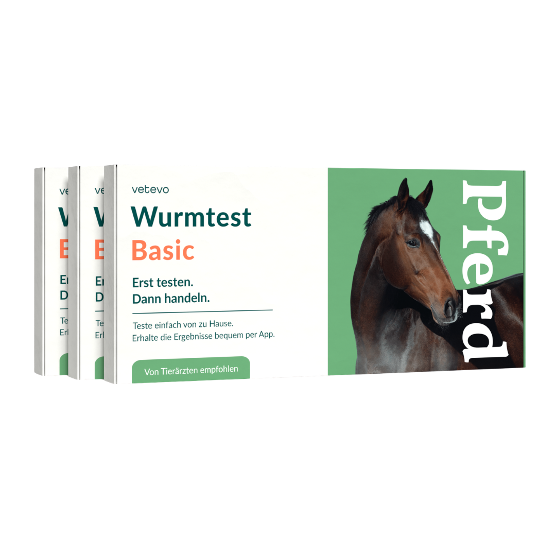 Wurmtest Basic Pferd