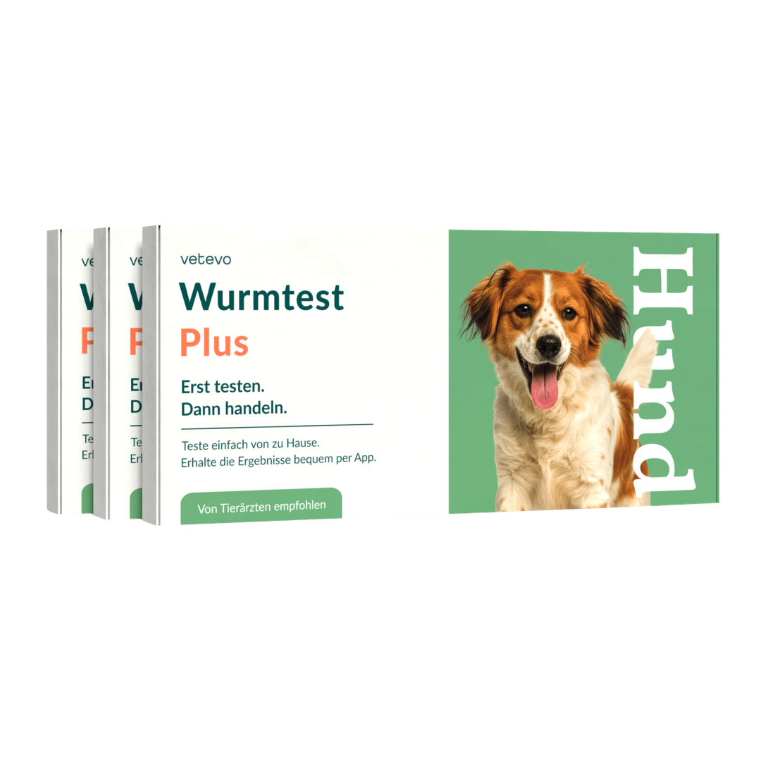 Test de vers Plus Chien