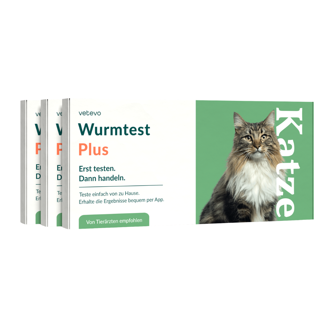 Test de vers Plus chat