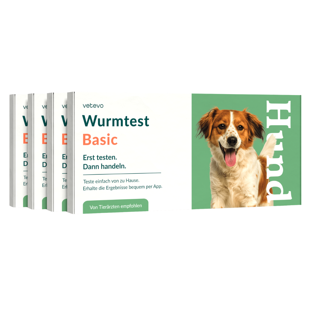 Pack économique de base vermifuge pour chien