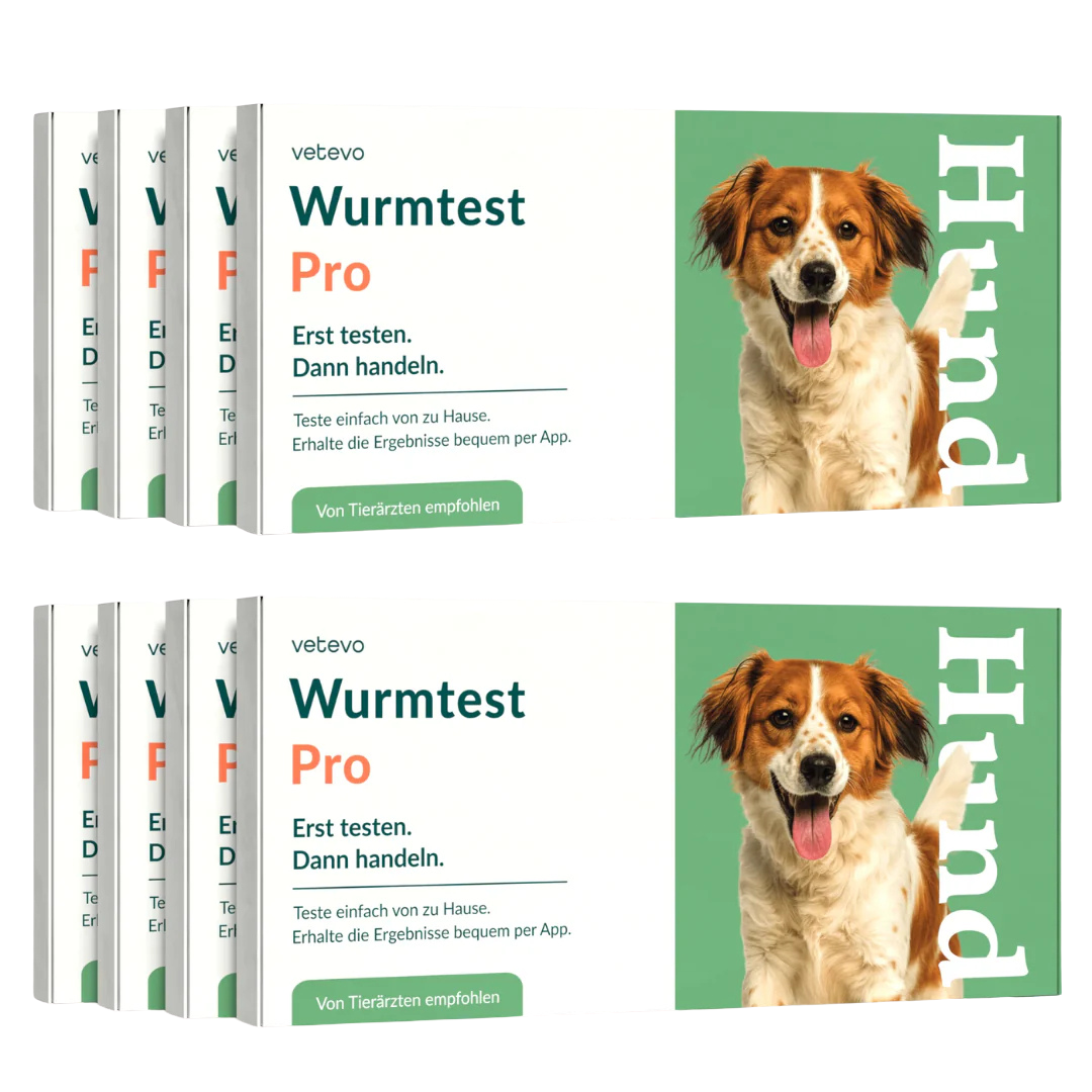 Kit de vermifugation Pro Chien Offre Économique