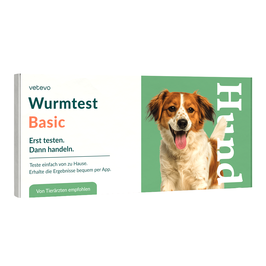 Wurmtest Basic Chien