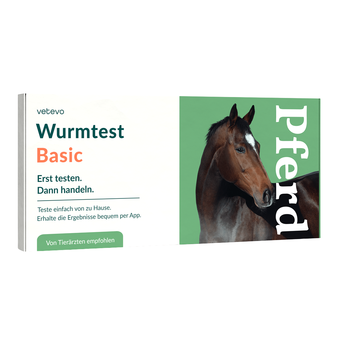 Wurmtest Basic Pferd