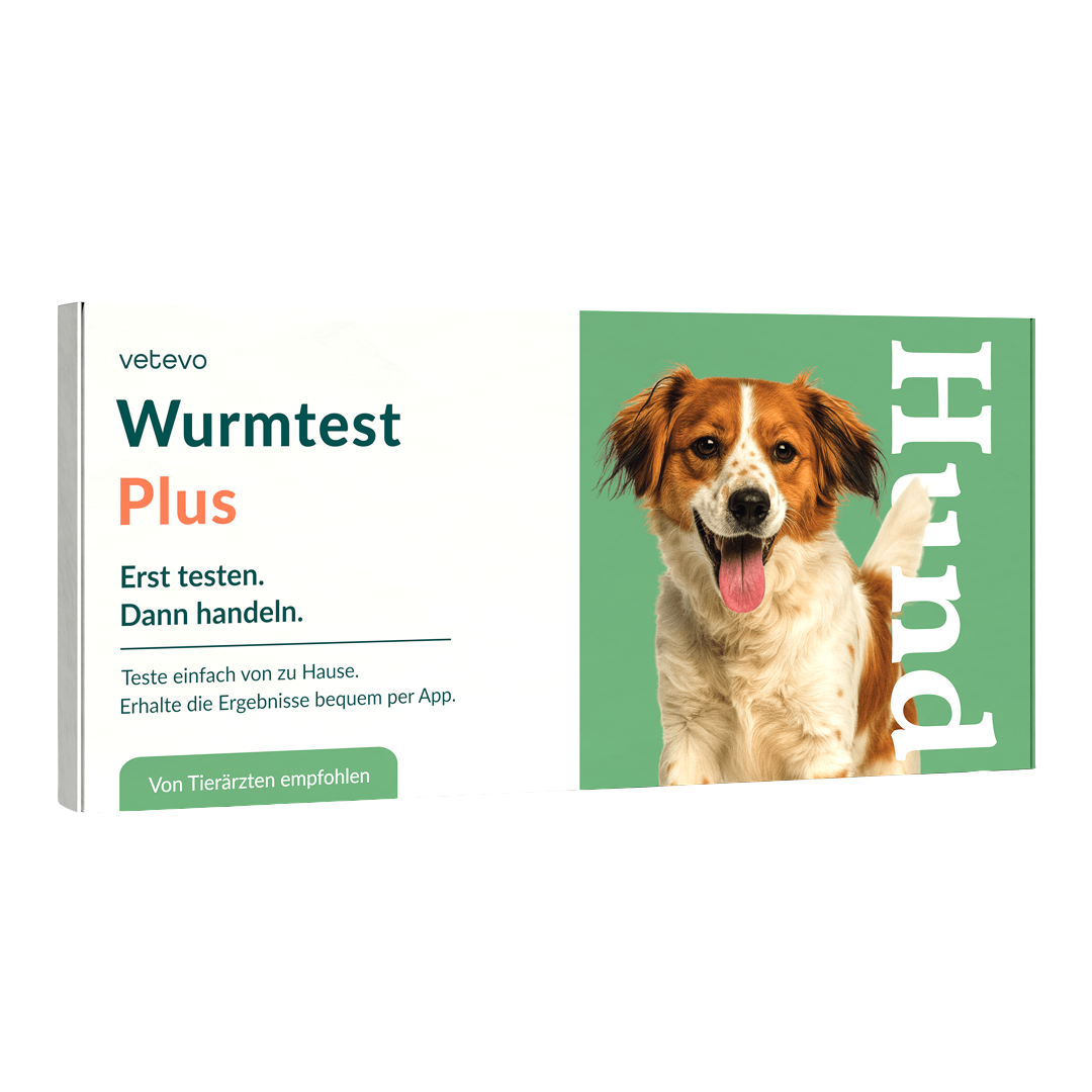 Test de vers Plus Chien