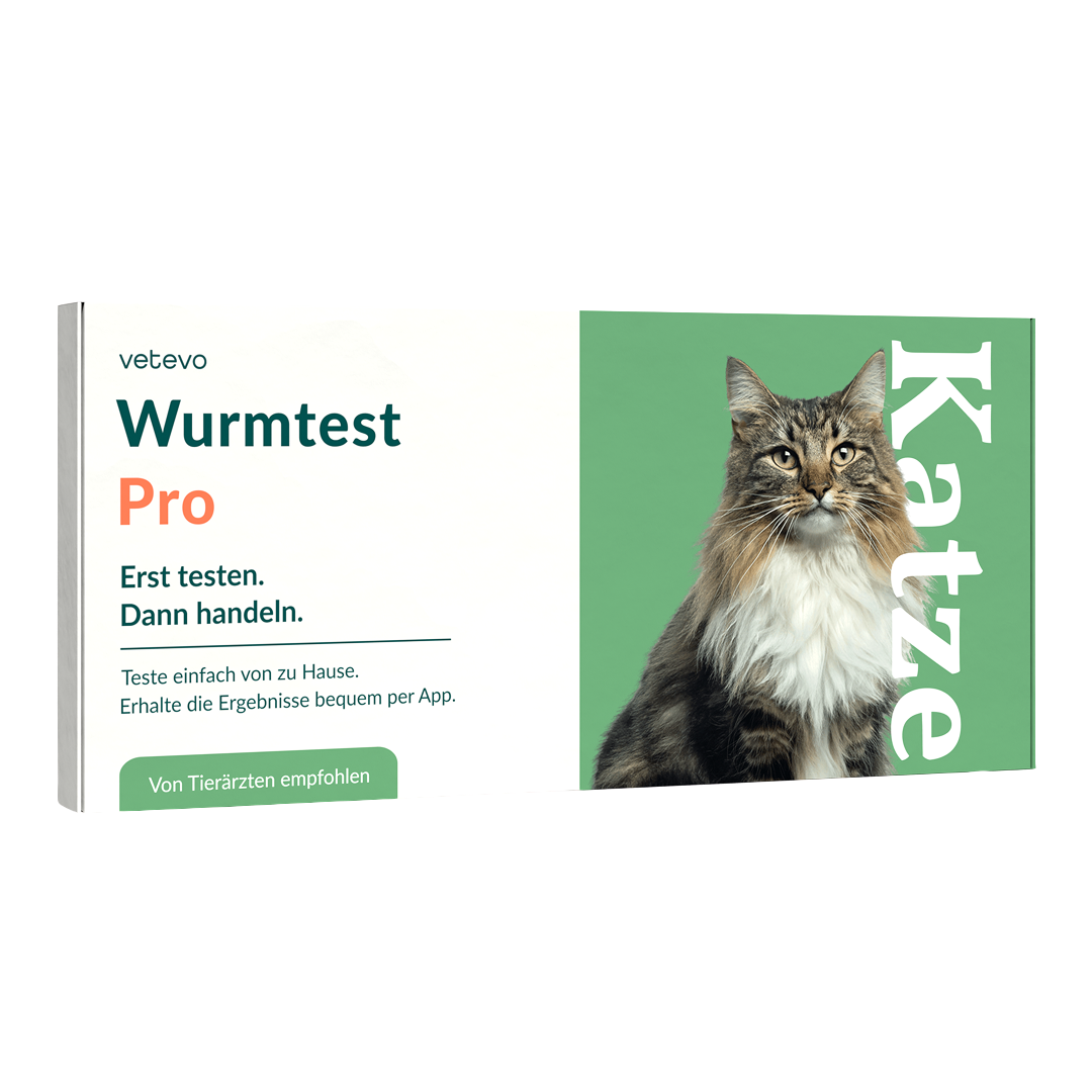 Vermifuge Pro Chat