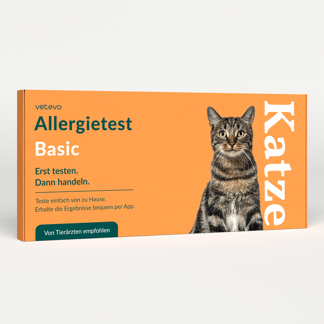 Test d'allergie de base pour chats