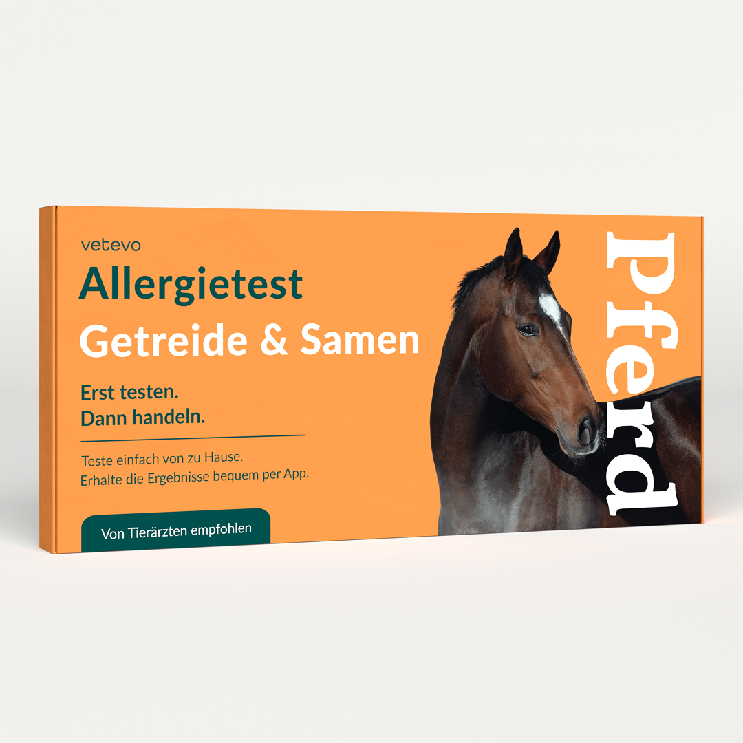 Allergietest - Getreide, Samen & Nüsse Pferd