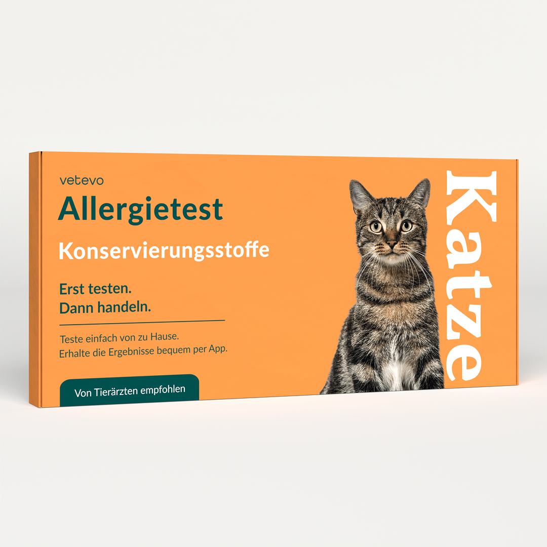 Test d'allergie - Conservateurs chat