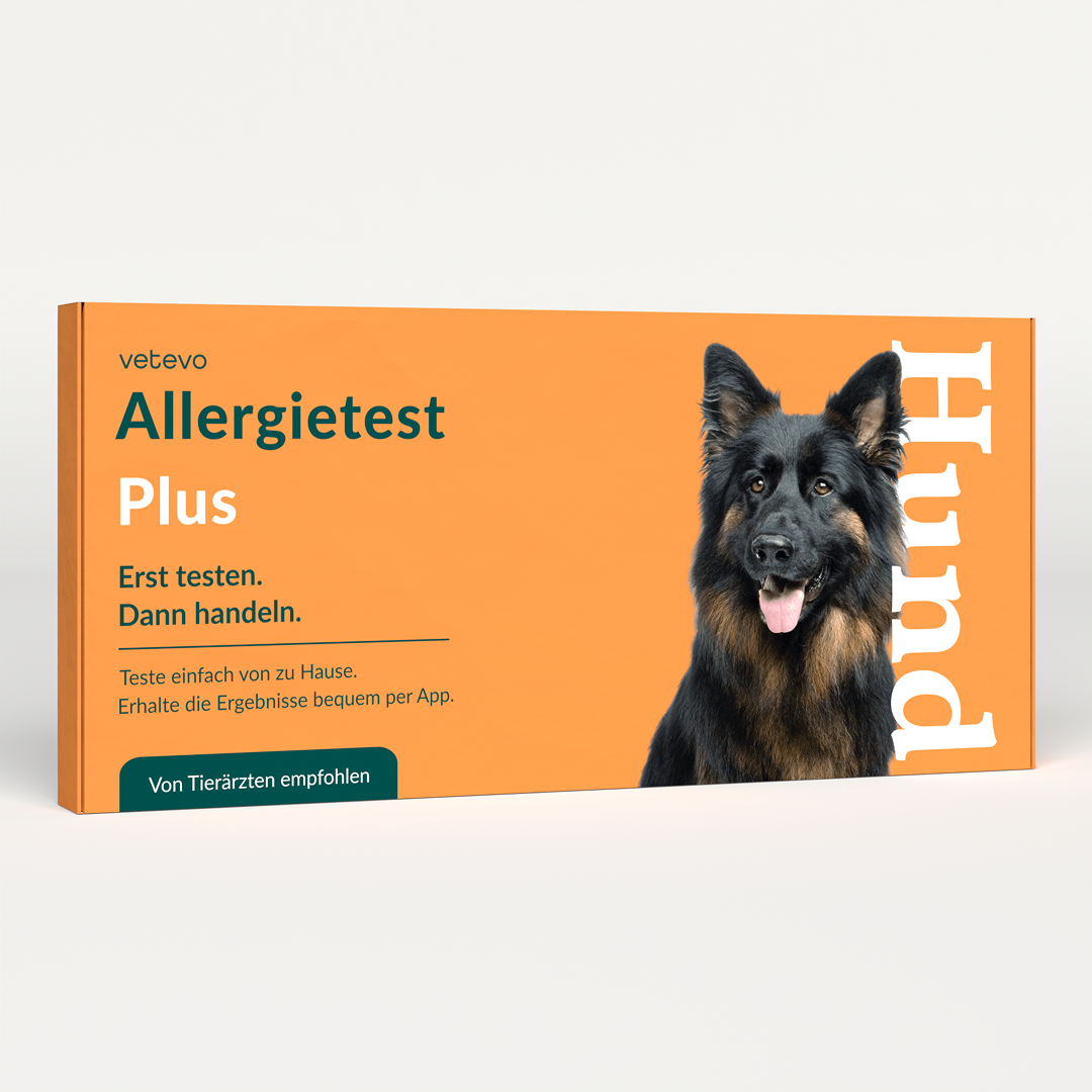 Allergietest Plus Hund