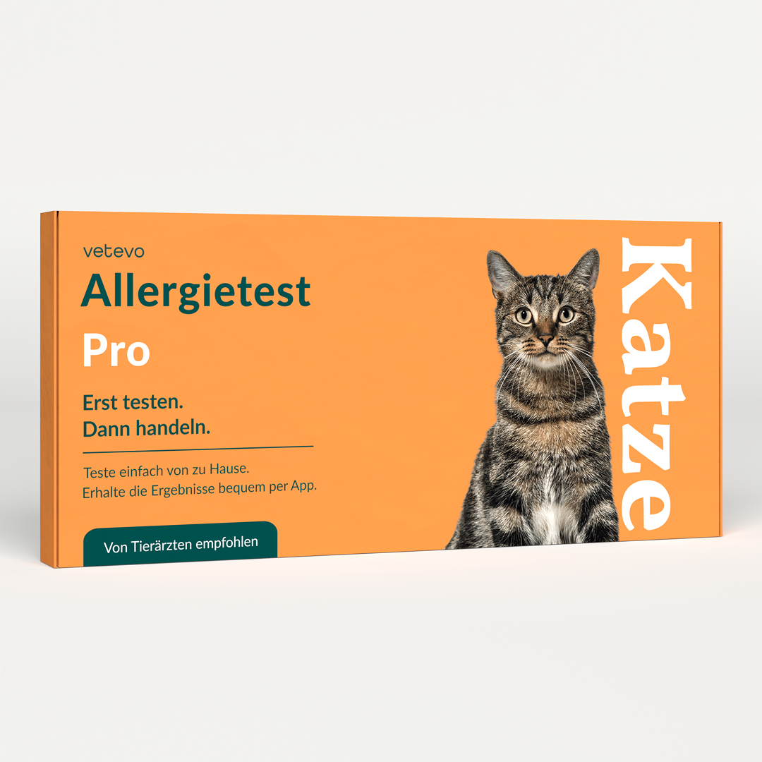 Allergietest Pro Katze