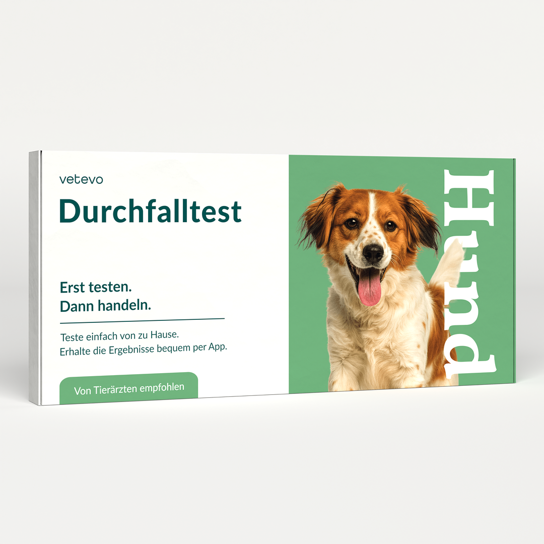 Test de dépistage de la diarrhée chez le chien