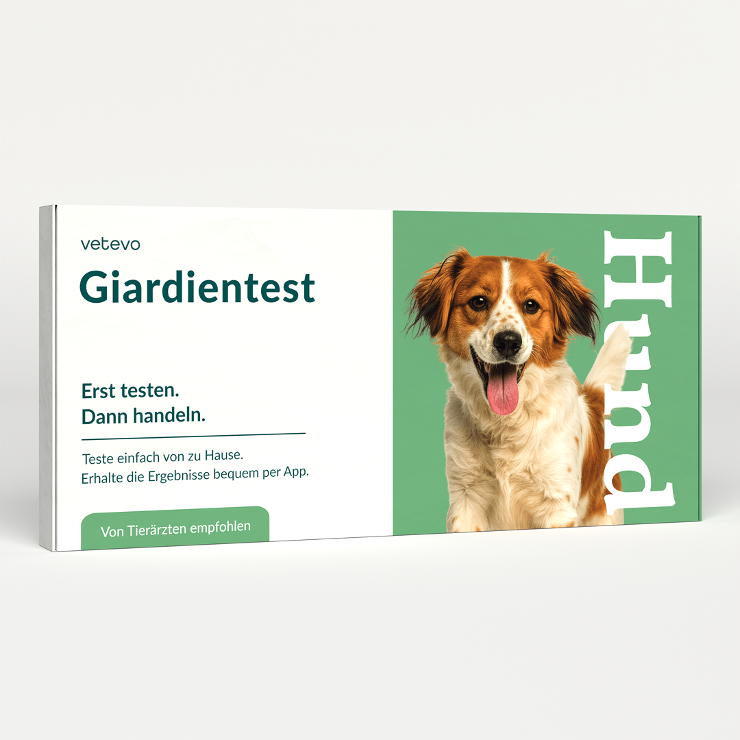 Giardientest Hund