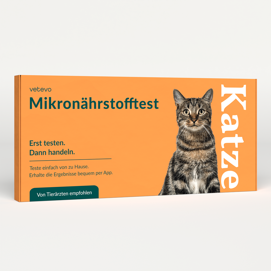 Test de micronutriments - Carences du chat