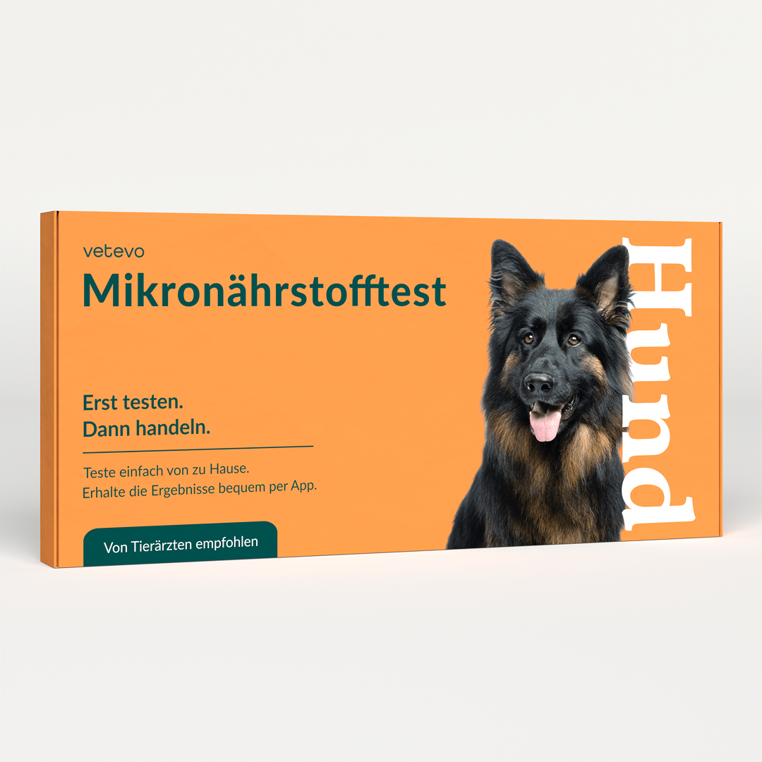 Mikronährstofftest - Mängel Hund
