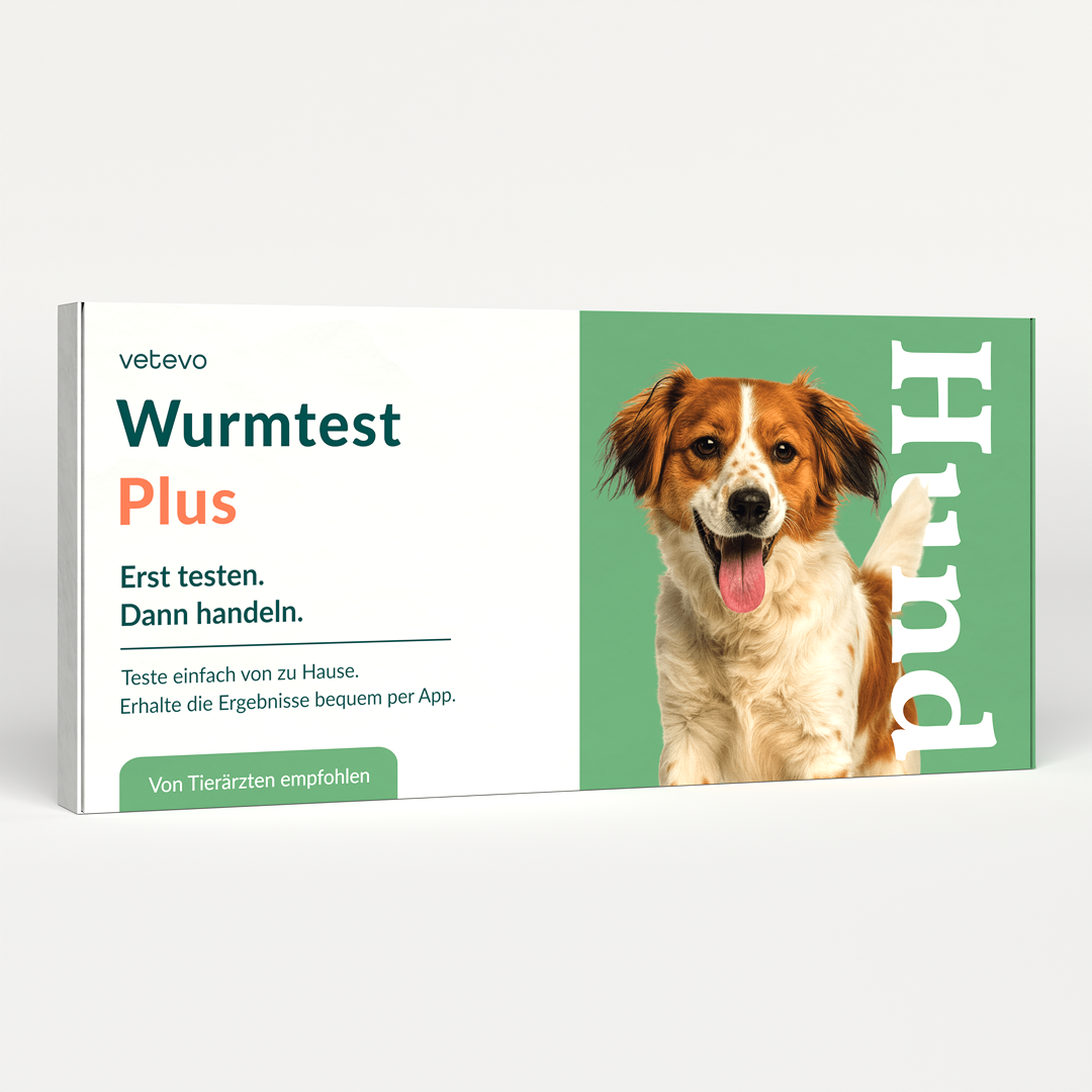 Test de vers Plus Chien