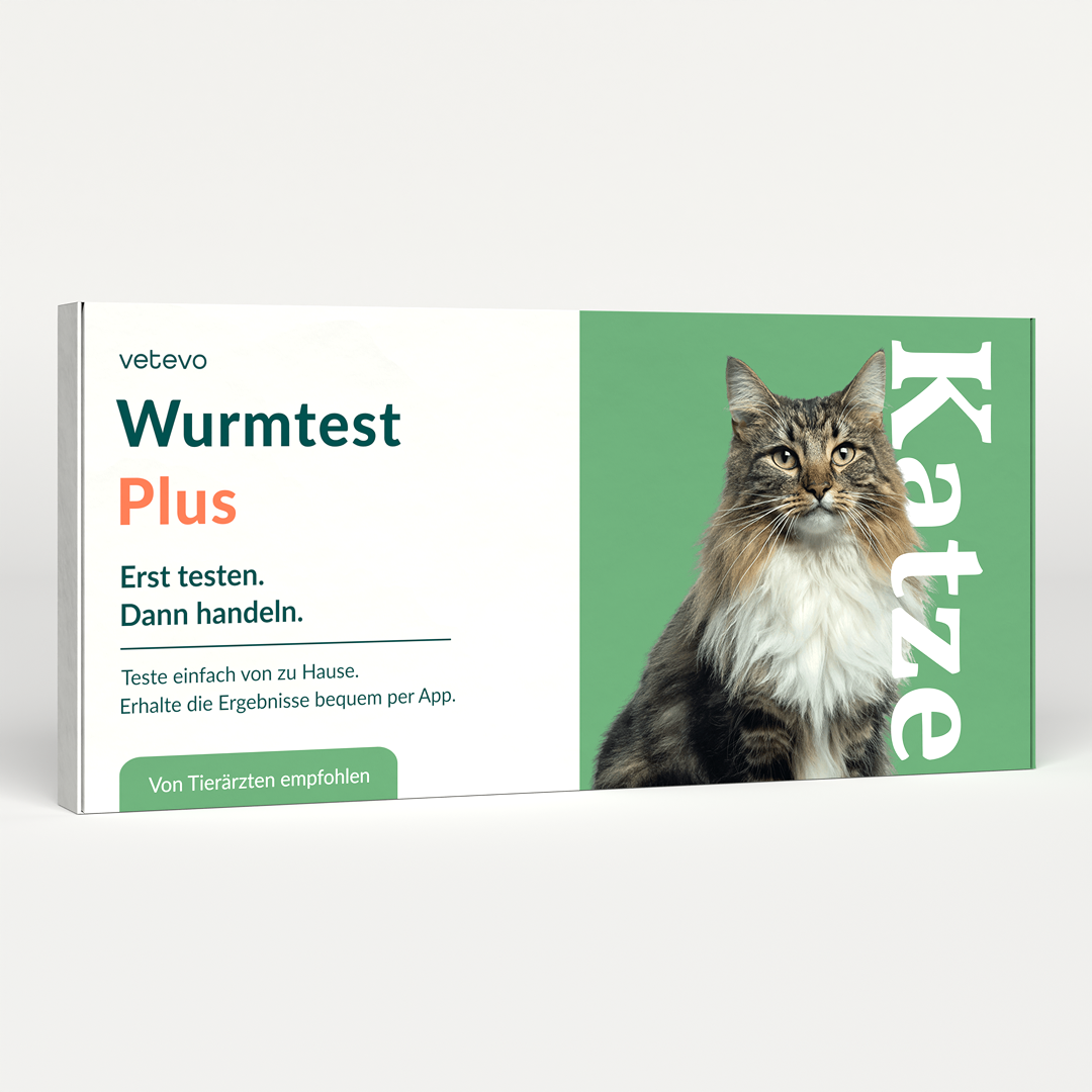 Test de vers Plus chat