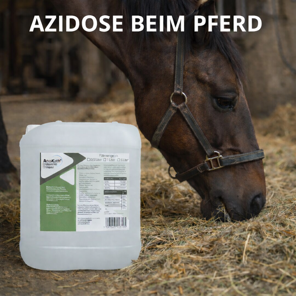 AnoKath® Liquid – Acompañar el equilibrio ácido-base en la acidosis del caballo