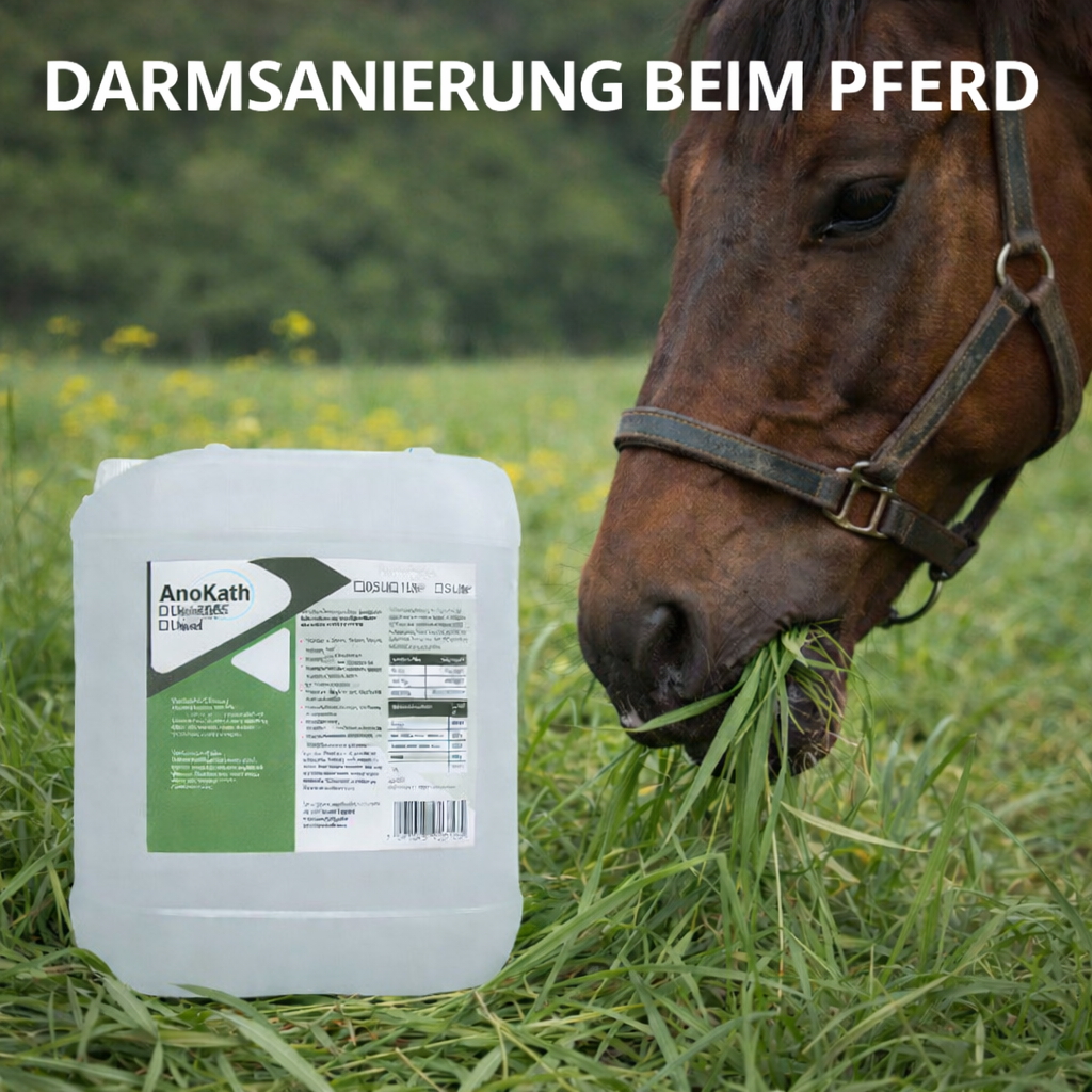 Intestinal cleansing for horses