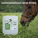 AnoKath® Liquid para caballos