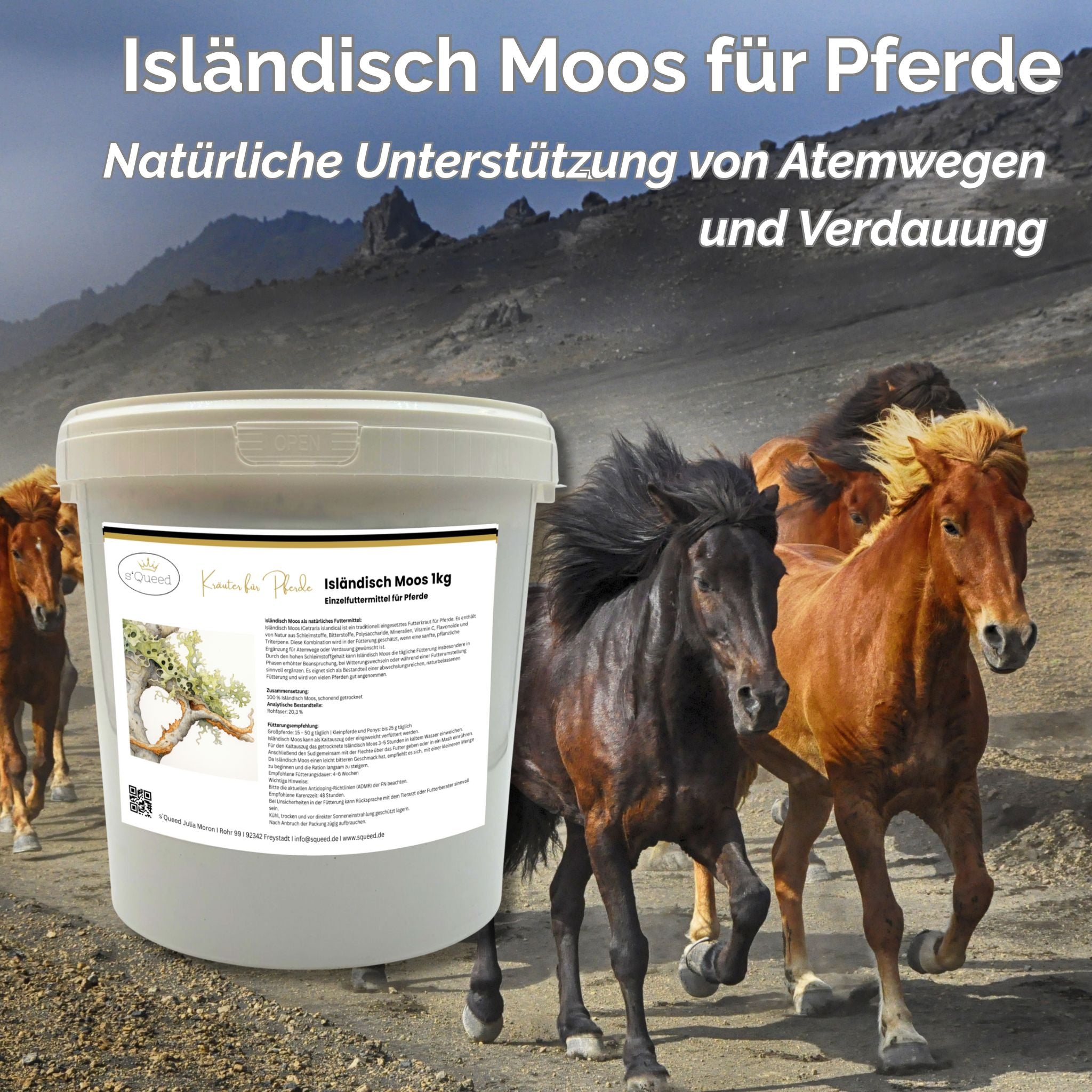 Cheval de mousse islandais 1 kg