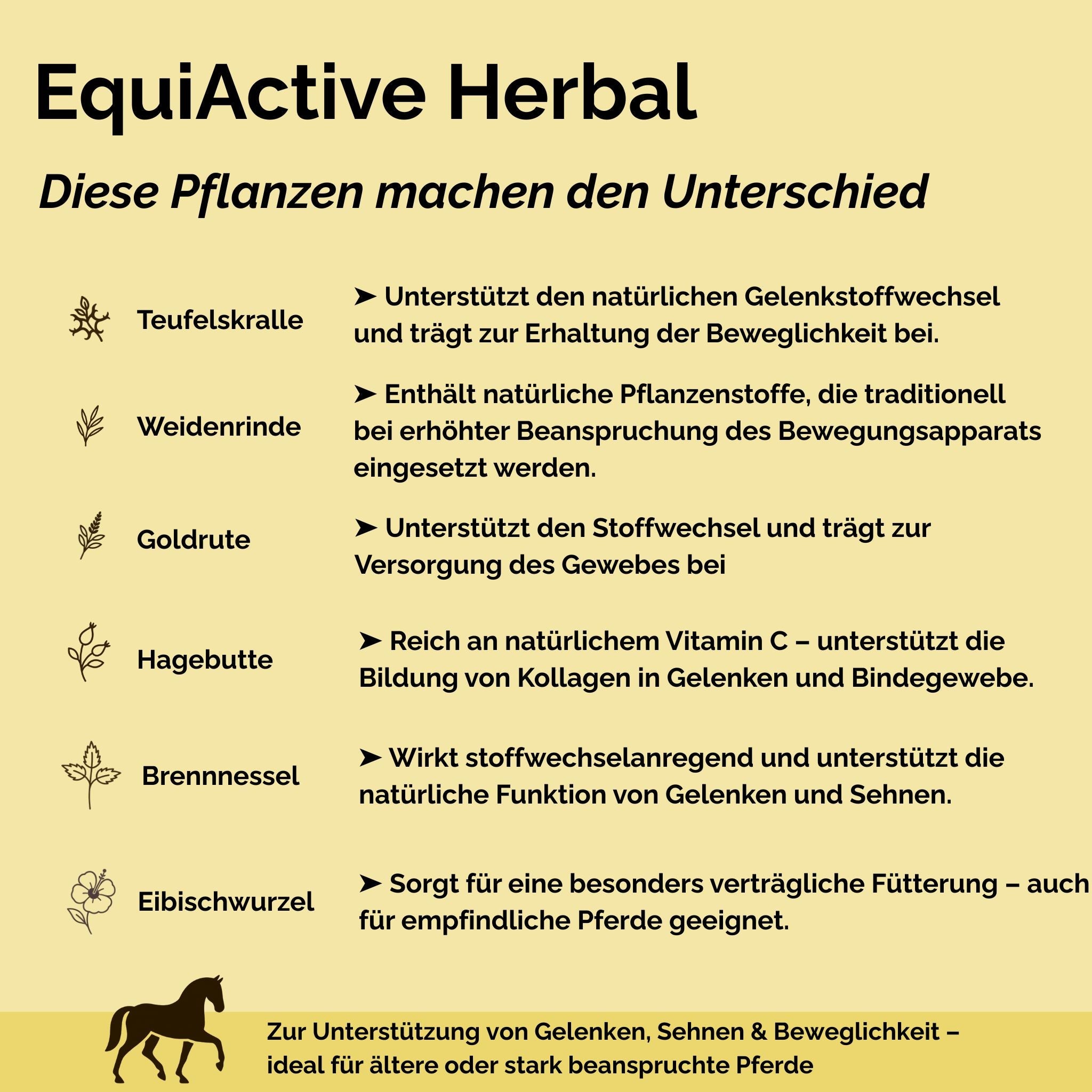 EquiActive Herbal 1 kg – Mélange de plantes pour favoriser la mobilité et la vitalité des chevaux