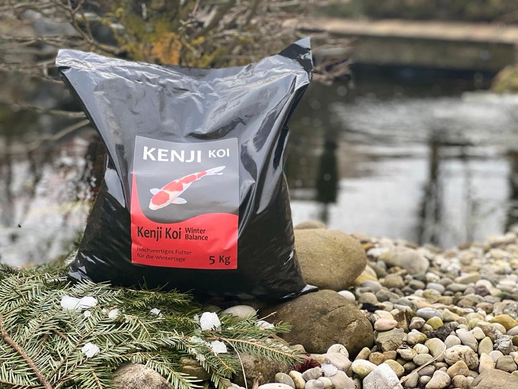KENJI KOI Winter Balance - sinkend